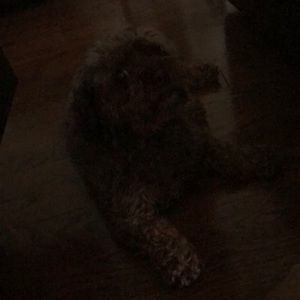 Meet your Posher, Jean-paul